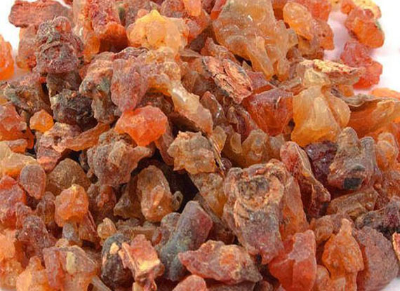 Guggul
